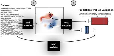 PepVAE: Variational Autoencoder Framework for Antimicrobial Peptide Generation and Activity Prediction